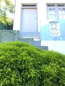 Hill cottage B&B