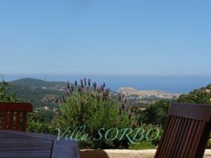 Appartements Villa Sorbo : photos des chambres