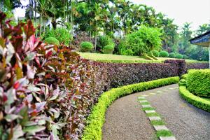 Camellia Dwelling