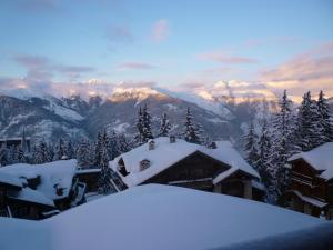 Hotel Carlina photo 9