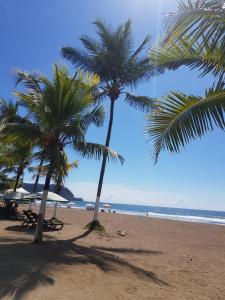 3Room Penthouse Beach Condo