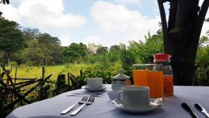 Sigiriya Palace View