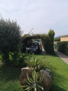 VILLA A 200 METRI DALLA SPIAGGIA img20