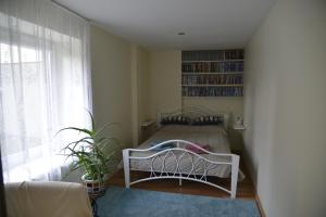 Apartment rent