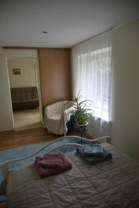 Apartment rent