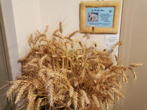 Appartements Chez Yann et Valerie : photos des chambres