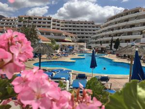 Garden City heated pool, near beach, Costa Adeje