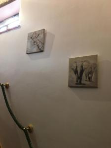 the Orangery - BnB Suites