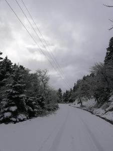 Xenonas Kypseli Tzoumerka Greece