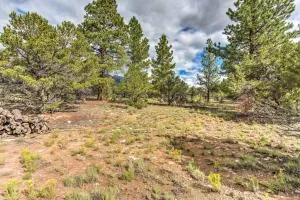 Cozy Buena Vista Apartment Less Than 4 Mi to Main Street! - 布埃纳维斯塔