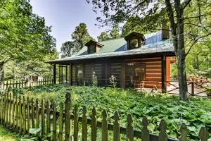Black Mountain Cabin with Screened Porch and Views! - Black Mountain