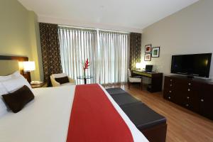 Hotel Ciudad de David