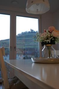 Penthouse Burgblick mit Dachterrasse