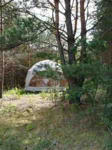 Glamping Drzwi Do Lasu - 苏普拉希尔
