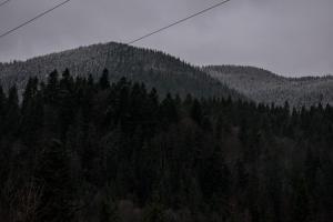 Садиба "Донечки"