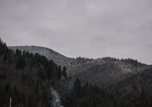 Садиба "Донечки"