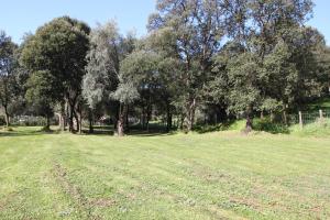 Appart'hotels Residence Helios : photos des chambres