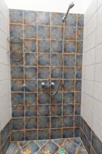 Zefyros Apartments and House