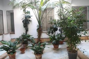 San Lorenzo en Esencia