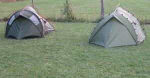 Campings Le Petit Chene : Tente