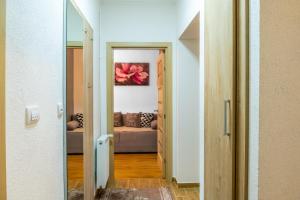 Vujisić Apartment in the City Center