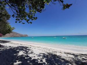 Scar Reef Resort - Beachfront Paradise HALF BOARD or NIGHT STAY