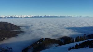 Тодор Прегьов