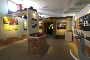 The Thai Elephant Conservation Center Lampang