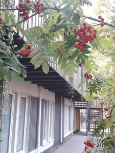 Parkova Apartamenty