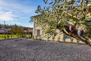 Appartements LES VALLEES by Cocoonr : photos des chambres