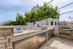 Apartment Olive tree