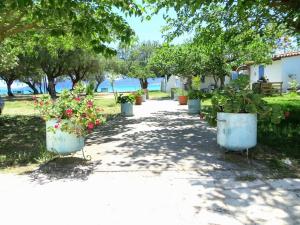 Sunny Apartment on the Beach, Methoni Messinia Greece