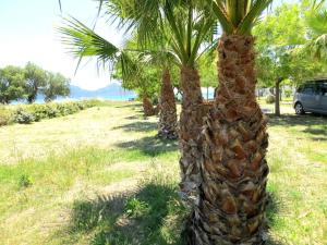 Sunny Apartment on the Beach, Methoni Messinia Greece