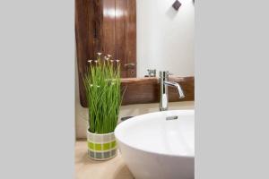 Traditional Cycladic Beauty