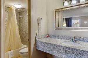 Double Room room in Econo Lodge Lynchburg South