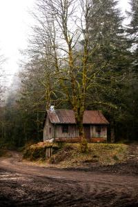 Chalets le refuge des Marmottes : photos des chambres