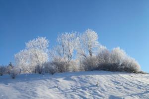 Chalets le refuge des Marmottes : photos des chambres