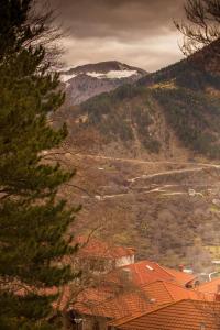 Adryades luxury apartments Epirus Greece