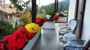 Villa Chanel - Borno