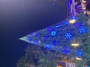 Marina D OR BAHIA PARK