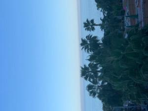 Marina D OR BAHIA PARK