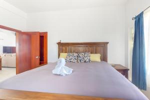 Jacksons Paradiso Gold Standard Certified