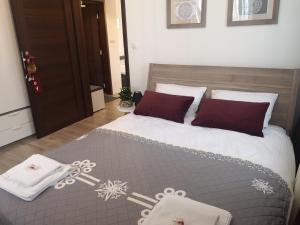 Apartamenty Poziomkowe