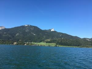 One-Bedroom Apartment with Balcony room in Appartements im Forsthaus