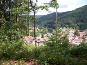 Ferienwohnung am Pfaffenfels