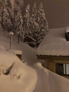 Chalets Le Mazot de la Fis : Chalet 1 Chambre