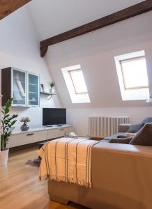 Comfy loft on Hlavna