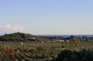 Ati Villa with pool near Gythio, Peloponnese Lakonia Greece