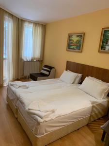 Studios -Villa Park SV