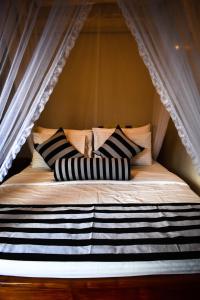 Elegant Home Stay